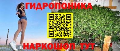 стафф Комсомольск-на-Амуре